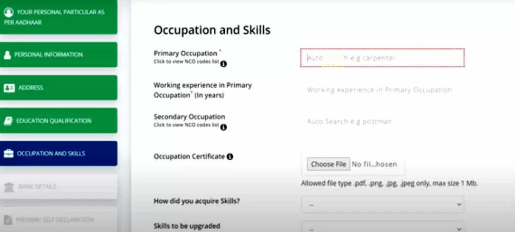 E Shram card occupation and skill page