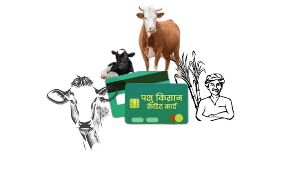 pashu kisan credit card